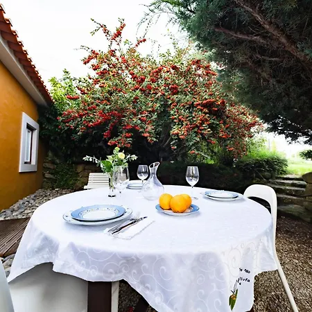 Holiday Home Casa Olivia By Interhome * Cela